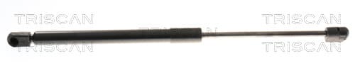GASFJÄDER BAK — Bakaxel från TRISCAN