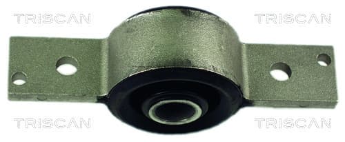 Bussning från TRISCAN