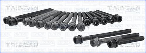 Bultsats, topplock från TRISCAN