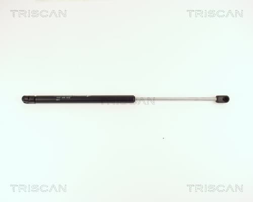 GASFJÄDER BAK — Bakaxel från TRISCAN
