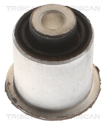 Bussning från TRISCAN