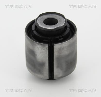 Bussning från TRISCAN