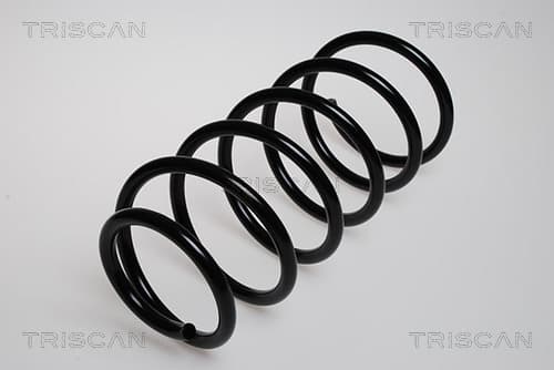 SPIRALFJÄDER FRAM — framaxel från TRISCAN