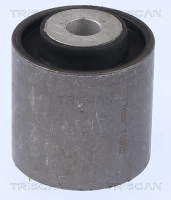 BUSSNING från TRISCAN