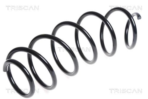 SPIRALFJÄDER FRAM — framaxel från TRISCAN