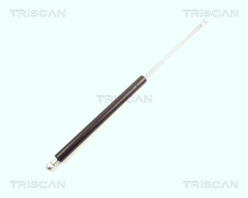 GASFJÄDER BAK — Bakaxel från TRISCAN