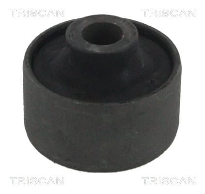 Bussning från TRISCAN