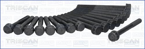 Bultsats, topplock från TRISCAN