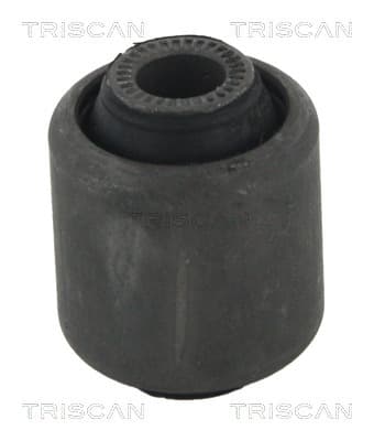 BUSSNING från TRISCAN