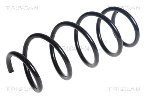 SPIRALFJÄDER FRAM — framaxel från TRISCAN