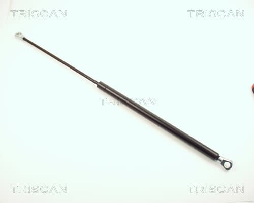 GASFJÄDER BAK — Bakaxel från TRISCAN