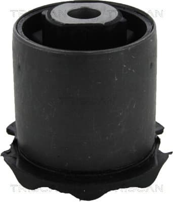 Bussning från TRISCAN