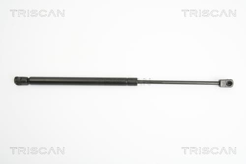 GASFJÄDER BAK — Bakaxel från TRISCAN