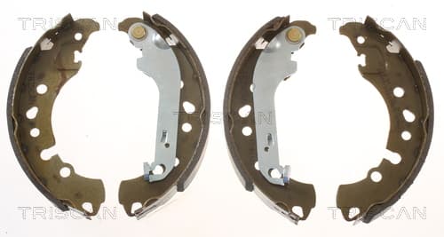 Bromsbackar från TRISCAN