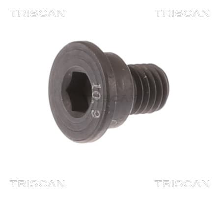 Skruv från TRISCAN