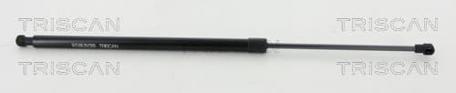 Gasfjäder bak från TRISCAN