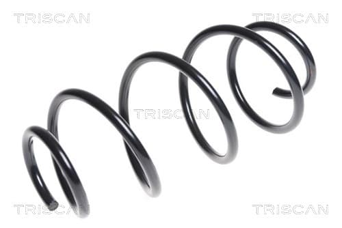 SPIRALFJÄDER FRAM — framaxel från TRISCAN