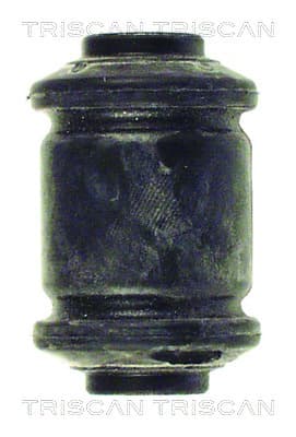 Bussning från TRISCAN