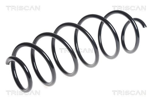 SPIRALFJÄDER FRAM — framaxel från TRISCAN