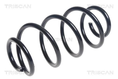 Spiralfjäder bak — Bakaxel från TRISCAN