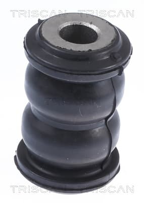 Bussning från TRISCAN