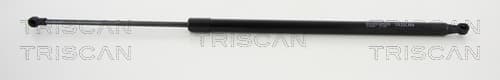 Gasfjäder bak från TRISCAN