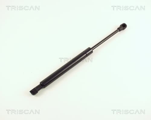 GASFJÄDER BAK — Bakaxel från TRISCAN