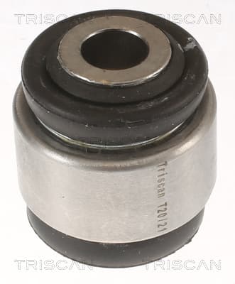 Bussning från TRISCAN