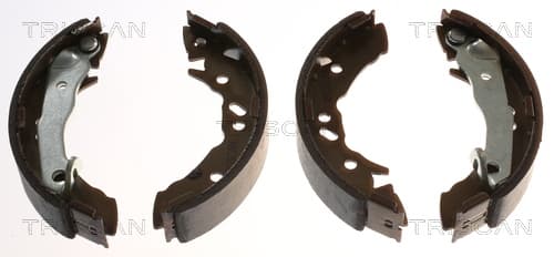 Bromsbackar från TRISCAN