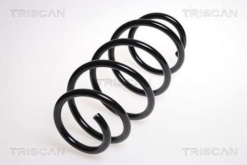 SPIRALFJÄDER FRAM — framaxel från TRISCAN