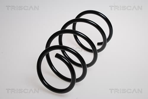 SPIRALFJÄDER FRAM — framaxel från TRISCAN