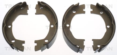 Bromsbackar handbroms