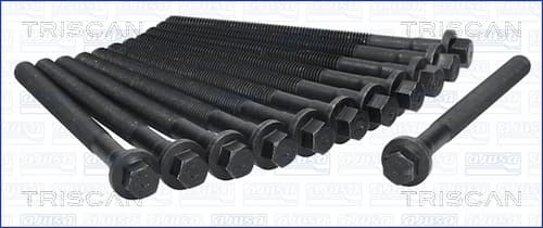 BULTSATS, TOPPLOCK från TRISCAN