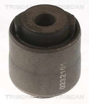 Bussning från TRISCAN