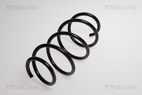 SPIRALFJÄDER FRAM — framaxel från TRISCAN