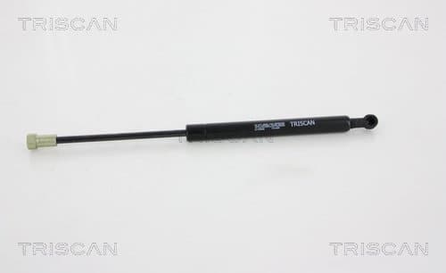 GASFJÄDER BAK — Bakaxel från TRISCAN