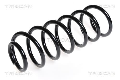 SPIRALFJÄDER BAK — Bakaxel från TRISCAN