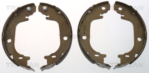 Bromsbackar handbroms