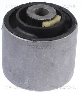 Bussning från TRISCAN