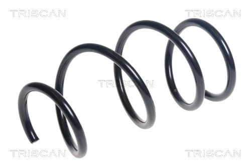 SPIRALFJÄDER FRAM — framaxel från TRISCAN