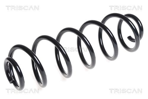 SPIRALFJÄDER BAK — Bakaxel från TRISCAN