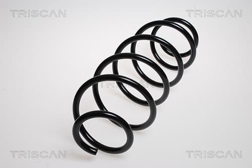 Spiralfjäder fram — framaxel från TRISCAN