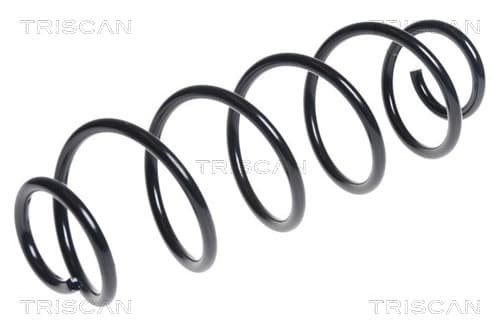 SPIRALFJÄDER BAK — Bakaxel från TRISCAN