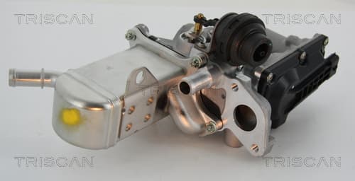 EGR-ventil från TRISCAN