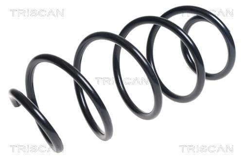 SPIRALFJÄDER FRAM — framaxel från TRISCAN