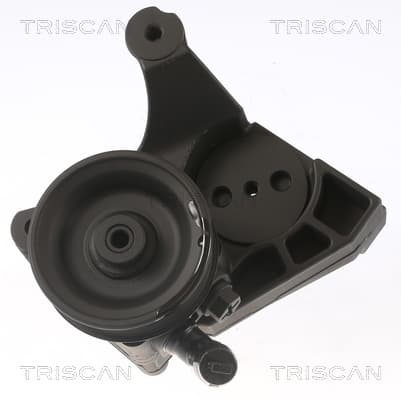 SERVOPUMP BYTE från TRISCAN