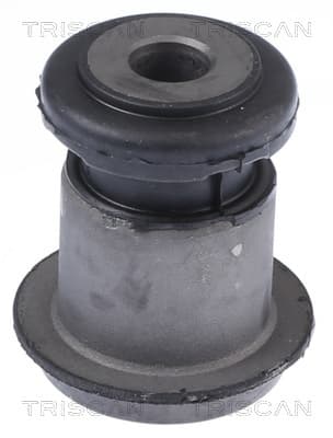 Bussning från TRISCAN