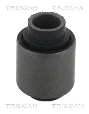 Bussning från TRISCAN