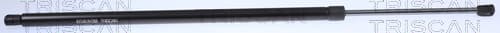 GASFJÄDER BAK — Bakaxel från TRISCAN