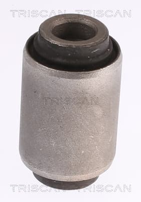 Bussning från TRISCAN